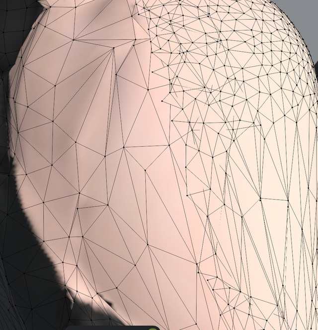 The rear shoulder in wireframe: coarse graft triangles beside dense sculpt triangles